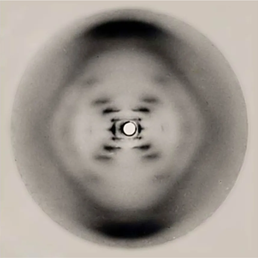 X-ray diffraction image of DNA known as Photo 51, produced by Rosalind Franklin at King’s College London in 1952