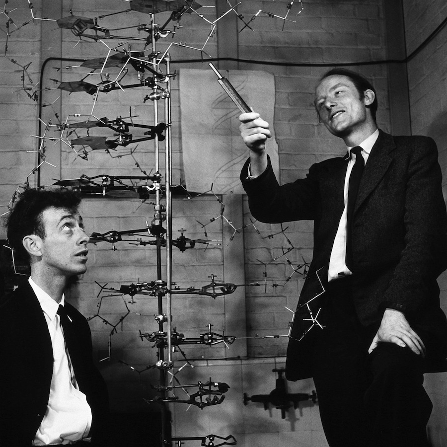 James Watson and Francis Crick standing with their physical DNA double-helix model at the Cavendish Laboratory in Cambridge, 1953